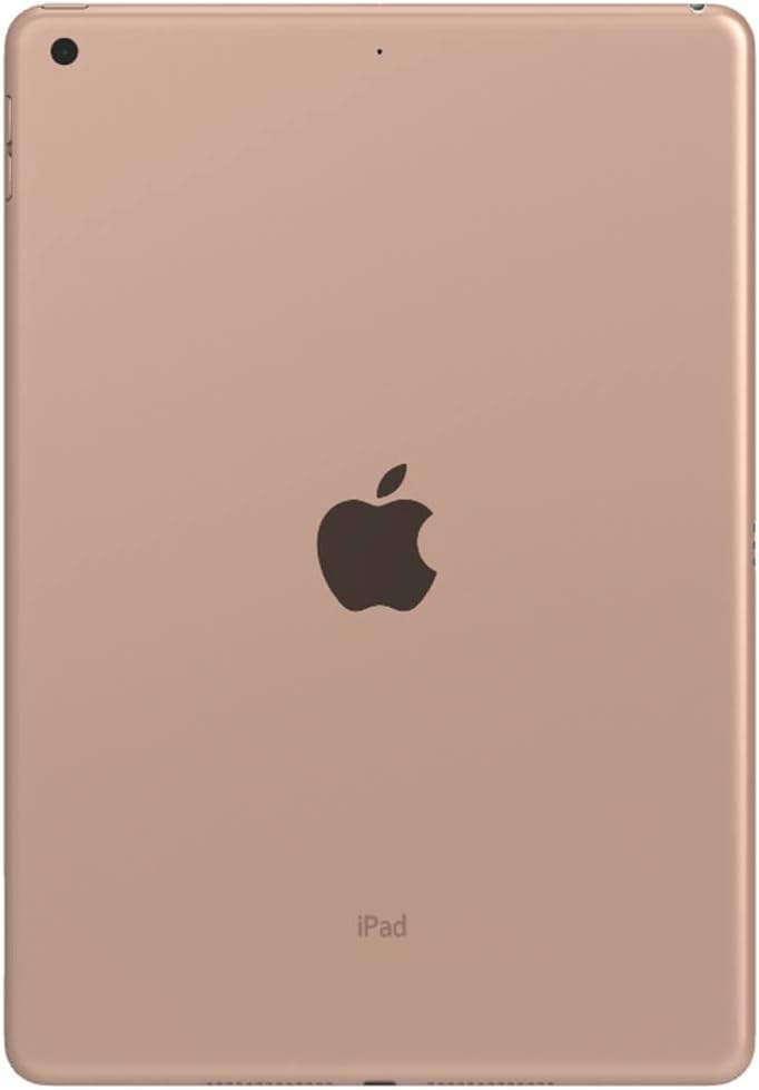 Apple iPad (10.2-Inch, Wi-Fi, 32GB) - Space Gray (Renewed)