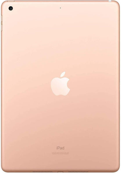 2019 Apple iPad (10.2-inch, Wi-Fi, 32GB) - Space Gray (Renewed Premium)