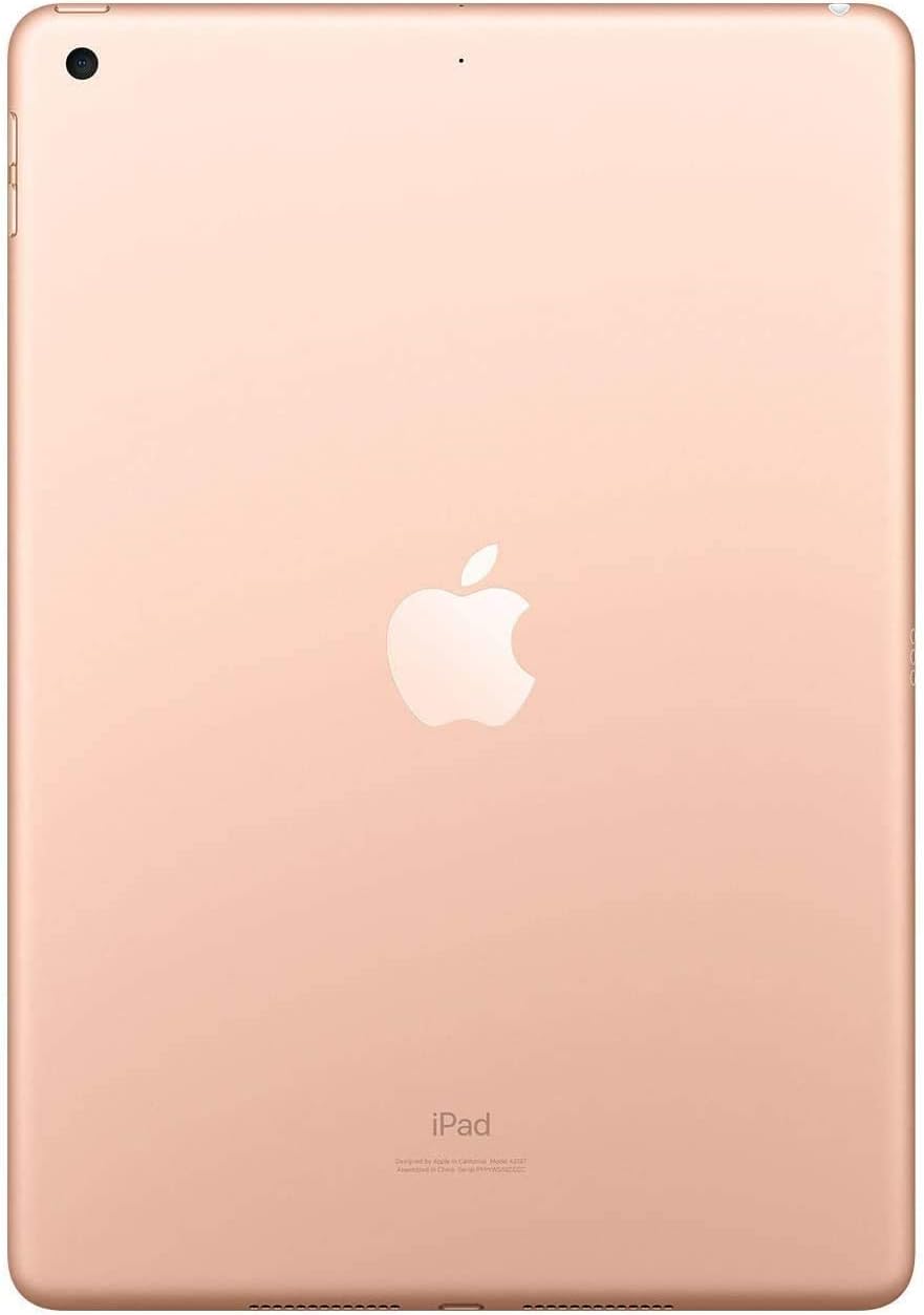 2019 Apple iPad (10.2-inch, Wi-Fi, 32GB) - Space Gray (Renewed Premium)