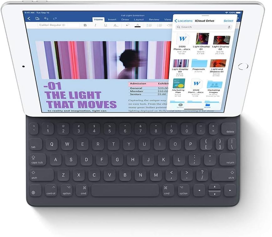2019 Apple iPad (10.2-inch, Wi-Fi, 32GB) - Space Gray (Renewed Premium)