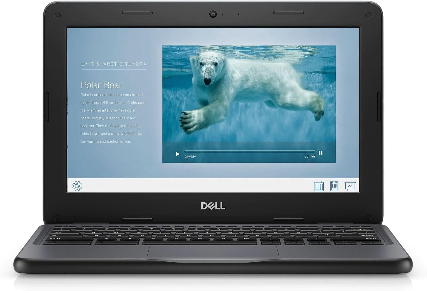 Dell Chromebook 3100 - 11.6"" - Celeron N4020 - 4 GB RAM - 32 GB eMMC, Black (Renewed)