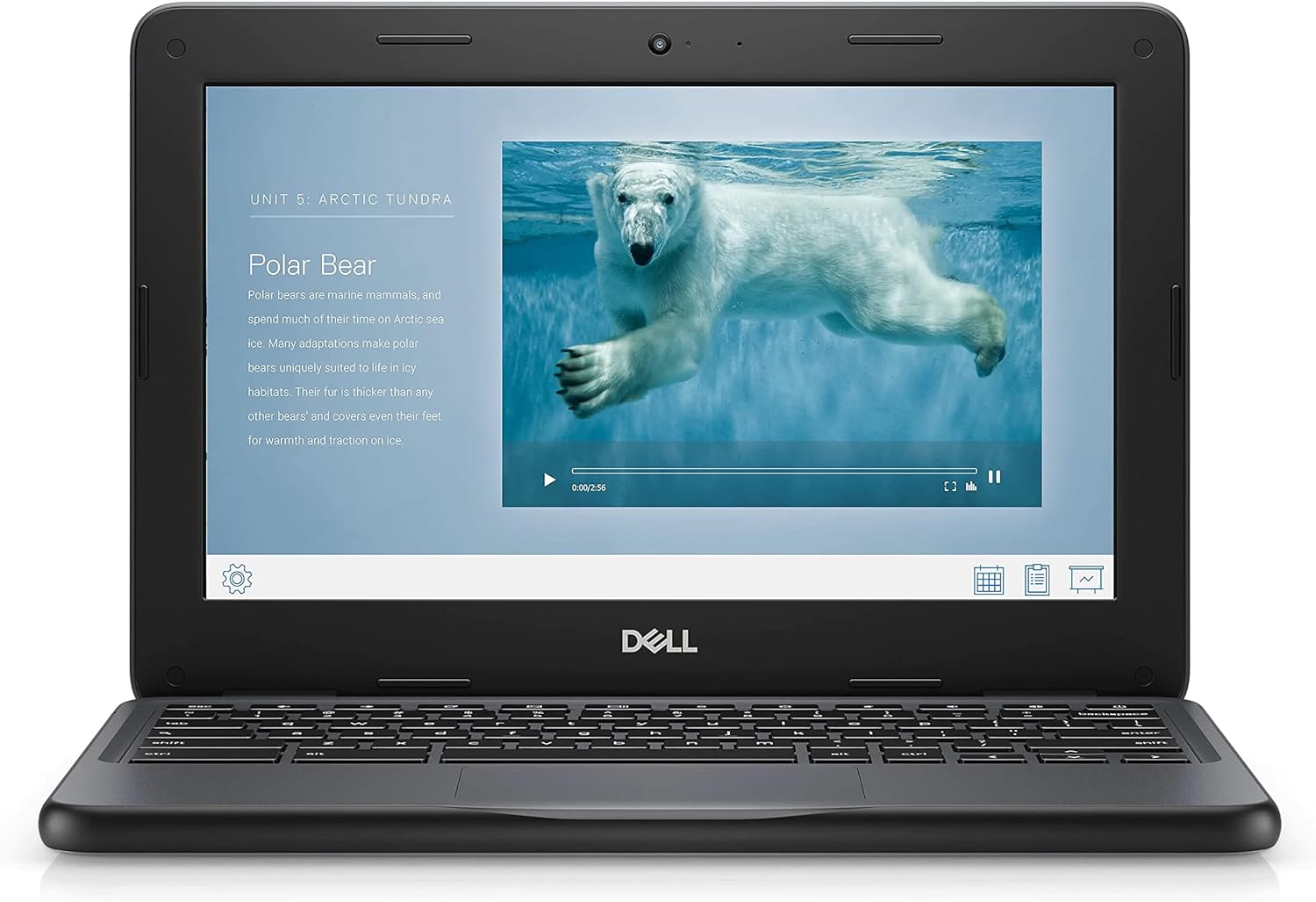 Dell Chromebook 3100 - 11.6"" - Celeron N4020 - 4 GB RAM - 32 GB eMMC, Black (Renewed)